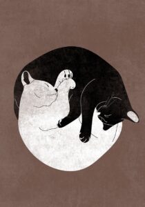 cats-8458195_1280
